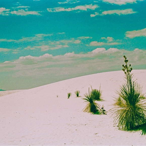 🌵Meet your Posher, ShannaLaura, of Southwestern Bohemia🌵 - Picture 8 of 15